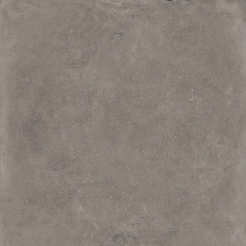 Absolute - Grigio Rectifié (60x60) - MB Carrelages